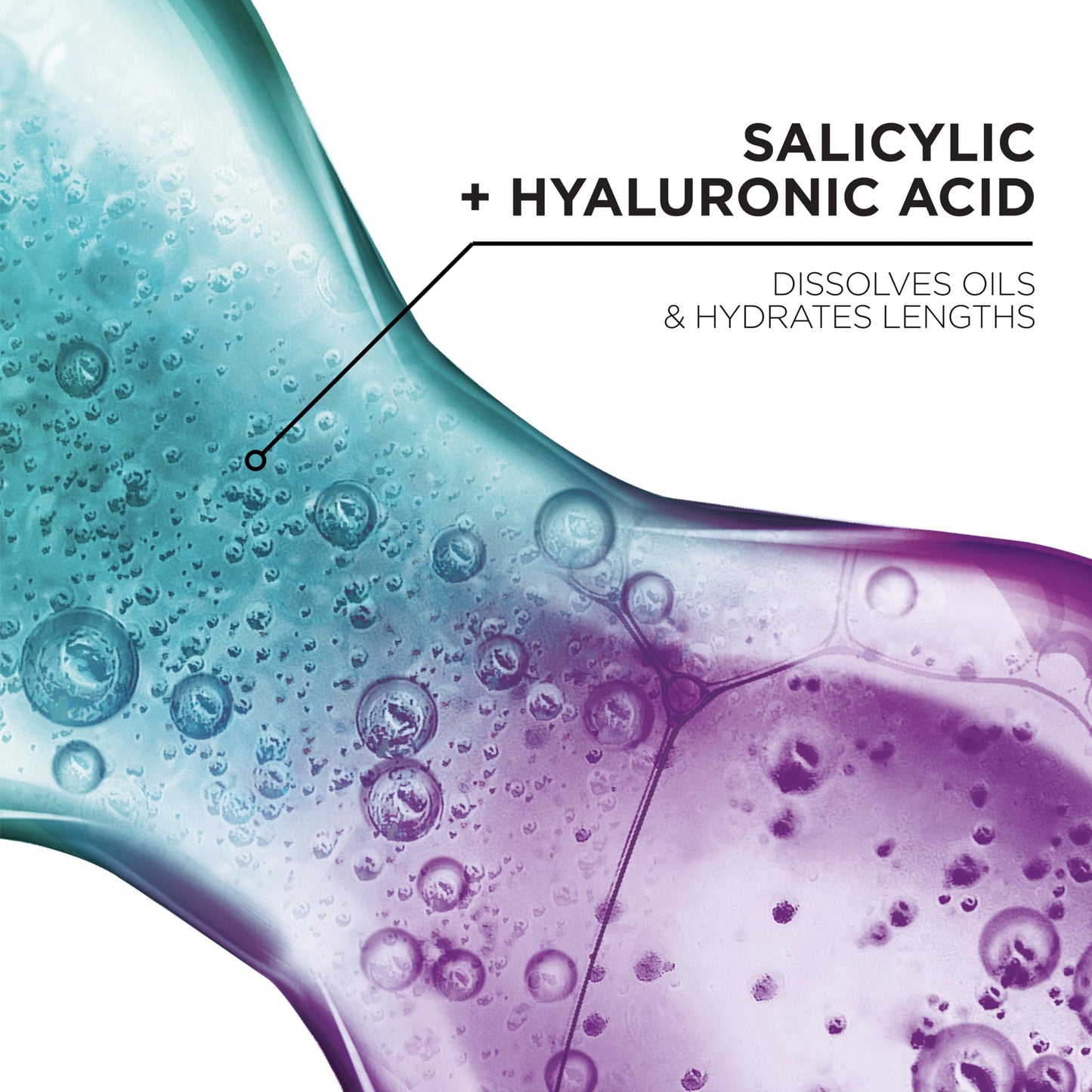 L'Oreal Paris Elvive Hyaluron + Pure Shampoo and Conditioner Set, Clarifying Shampoo and Rehydrating Conditioner with Salicylic Acid and Hyaluronic