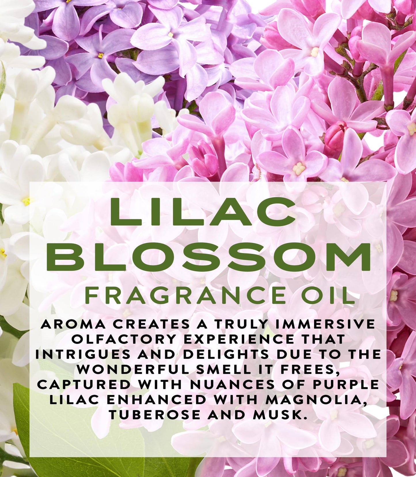 Botanical Beauty LILAC BLOSSOM FRAGRANCE OIL ROLL-ON 0.169 Fl. oz 5 ml Rollerball Perfume, Alcohol-Free, Long Lasting
