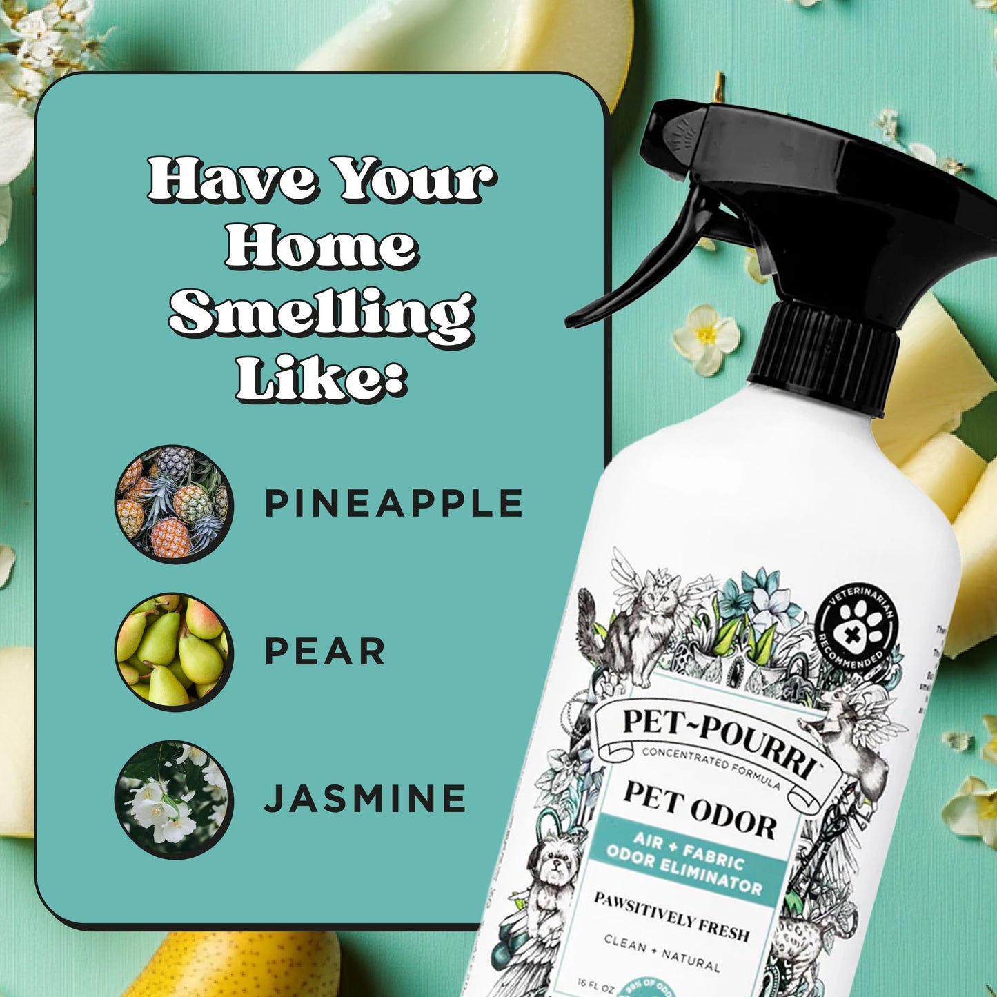 Poo-Pourri Pawsitively Fresh Pet & Home Deodorizer Spray, 16oz – Plant-Based Dog & Cat Odor Remover for Air, Carpet, Fabric, Litter Box & Urine