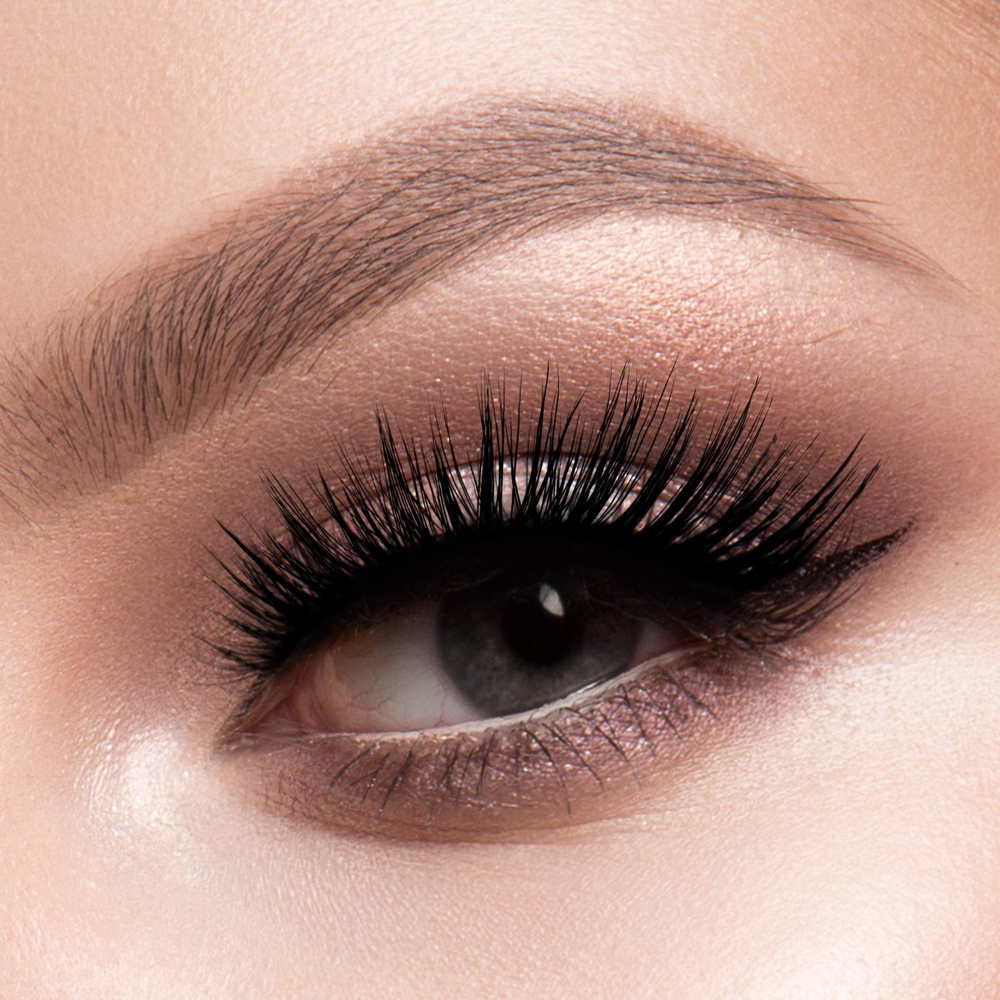 Max - Wild Cat 3D Lashes