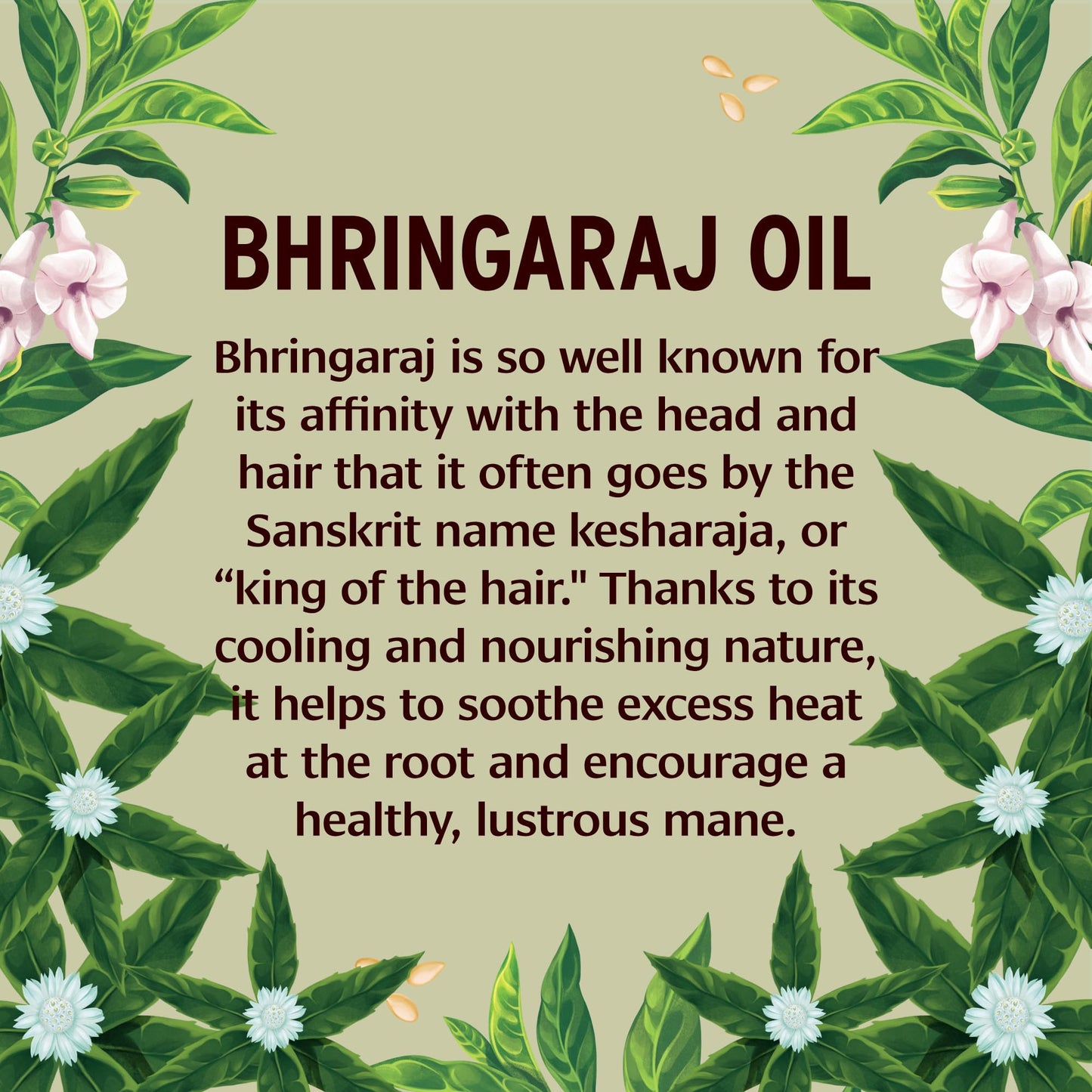 Banyan Botanicals Organic Bhringaraj Oil - Supports Healthy Hair Growth - Oil Made with Traditional Methods - 8 oz. - Non-GMO Sustainably Sourced