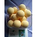 Spa Pure Shea Bath Bombs: Jamaican ME Crazy Bath Bomb Fizzies (14) 1 oz Each with Shea Butter, Ultra Moisturizing...Great for Dry Skin (Jamaican Me…