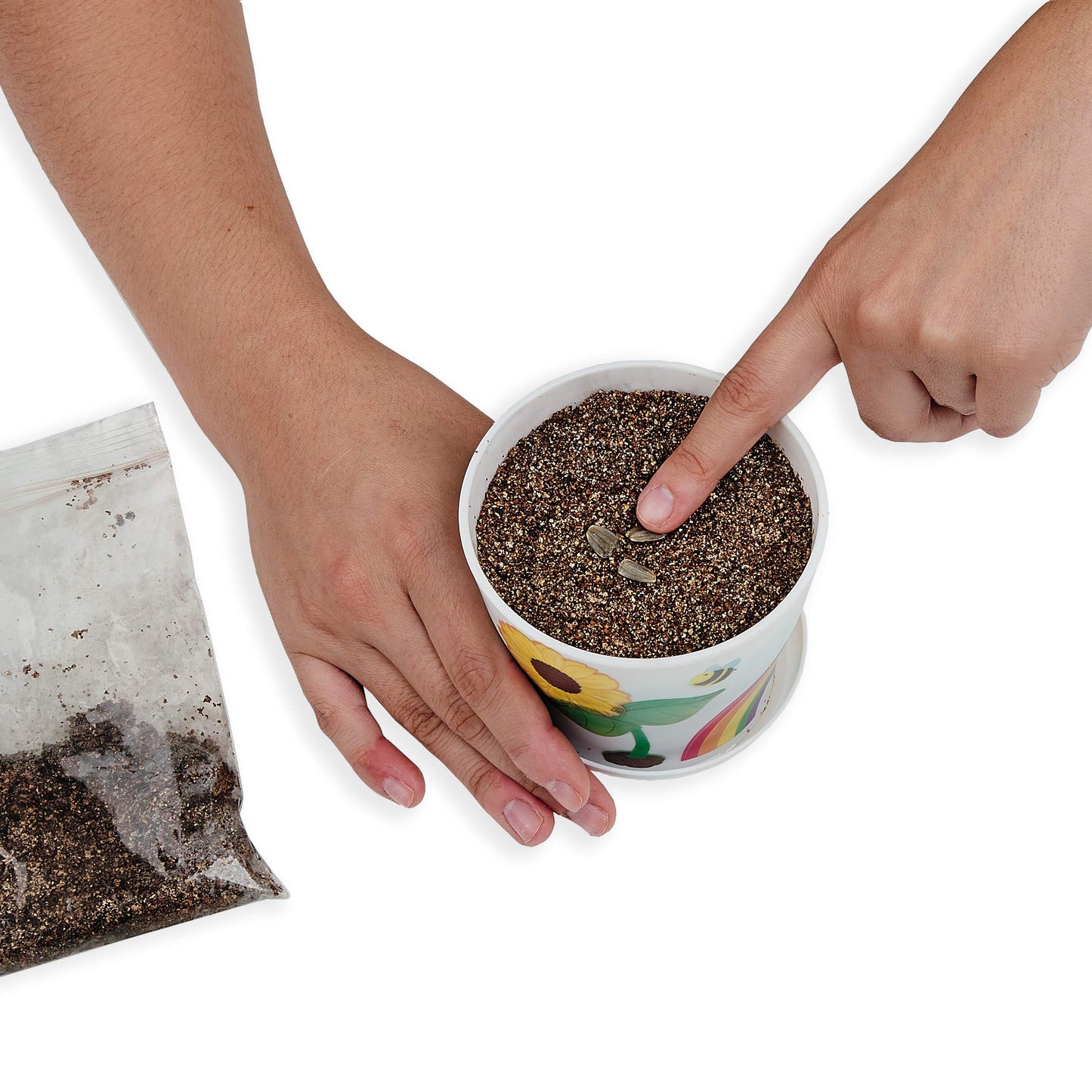 Creativity for Kids Sunflower Garden - Sunflower Kit for Girls and Boys (Ages 6+)