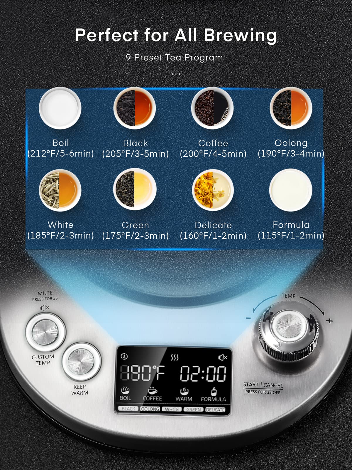 Electric Tea Kettle, 9 Temperature Control Presets Glass Kettle, 1200W Tea Pot with Removable Infuser, 2 Hours Keep Warm, 1.7 Liter Electric Kettles…