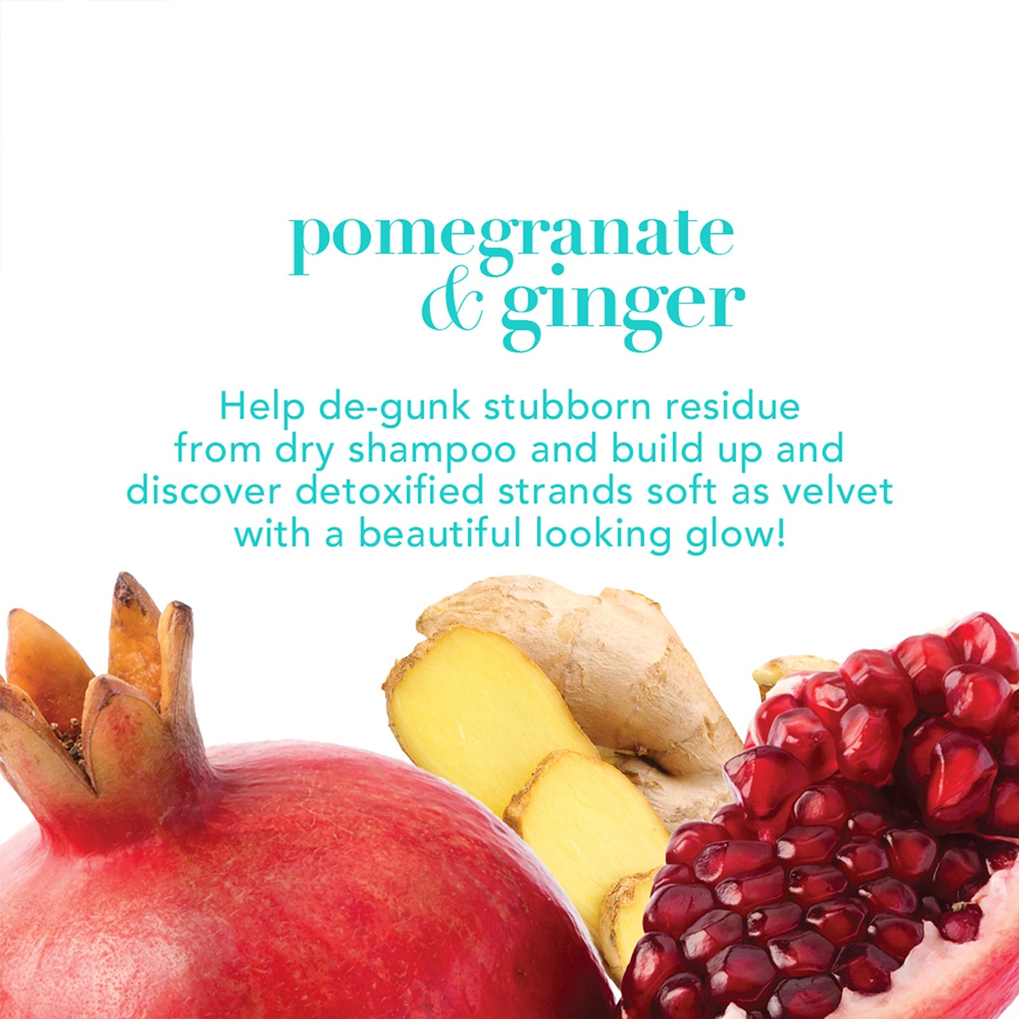 OGX Detoxifying + Ginger Conditioner, Pomegranate, 13 Fl Oz