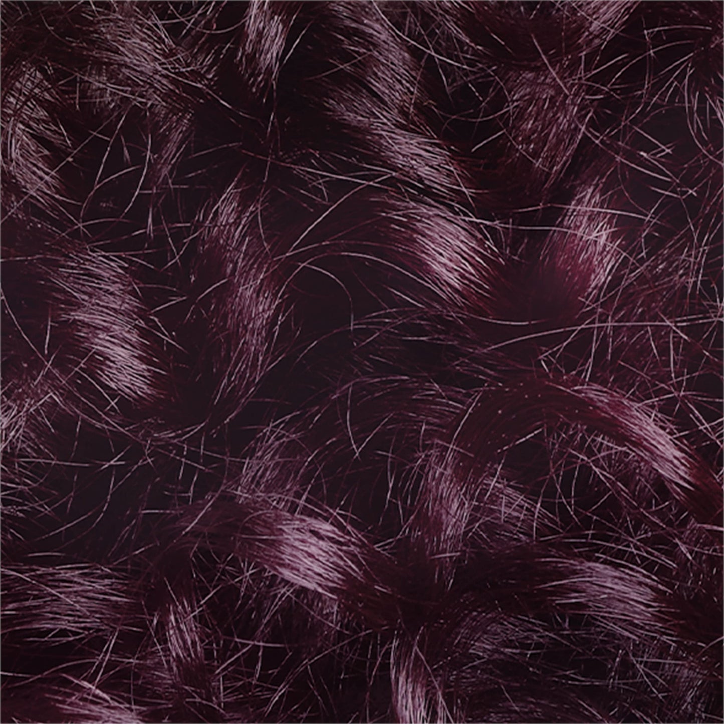 L’Oréal Paris Le Color Gloss One Step In-Shower Toning Hair Gloss, Neutralizes Brass, Conditions & Boosts Shine, Iridescent Plum Purple, 4 Ounce