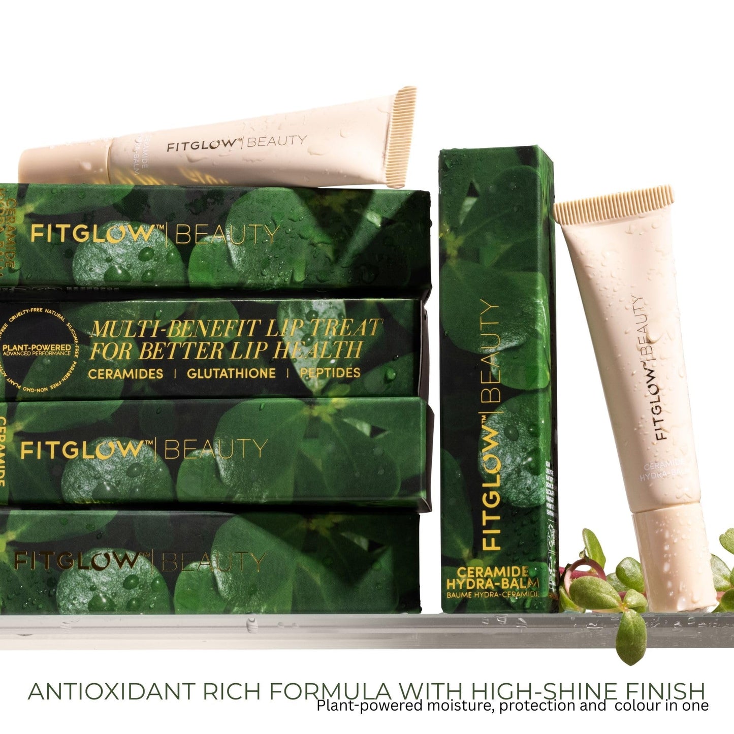 Fitglow Beauty Ceramide Hydra-Balm Lip Gloss - Hydrating Lip Serum with Peptides & Glutathione - Plumping & Anti-Aging Lip Skincare - Dry & Chapped Beauty and Personal Care FITGLOW