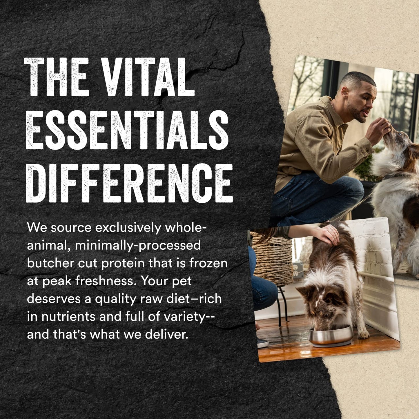 Vital Essentials Freeze-Dried Beef Liver Dog Treats 2.1oz – Single Ingredient, High Protein, Grain & Gluten Free Training Snacks