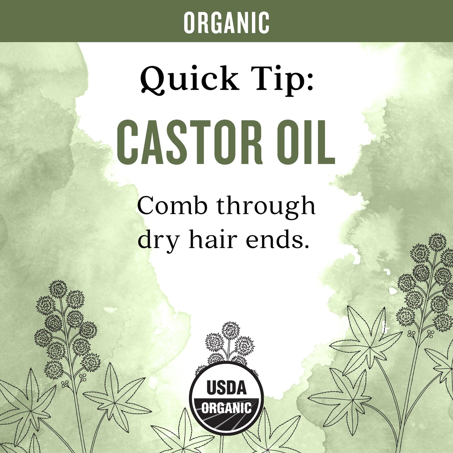 Aura Cacia Organic Castor Oil 1 fl. oz.