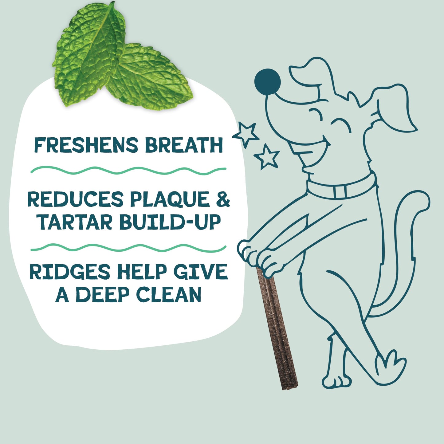 Shameless Pets Dental Treats for Dogs – Tooth Berry Sticks for Teeth Cleaning, Fresh Breath & Immune Support, Grain-Free