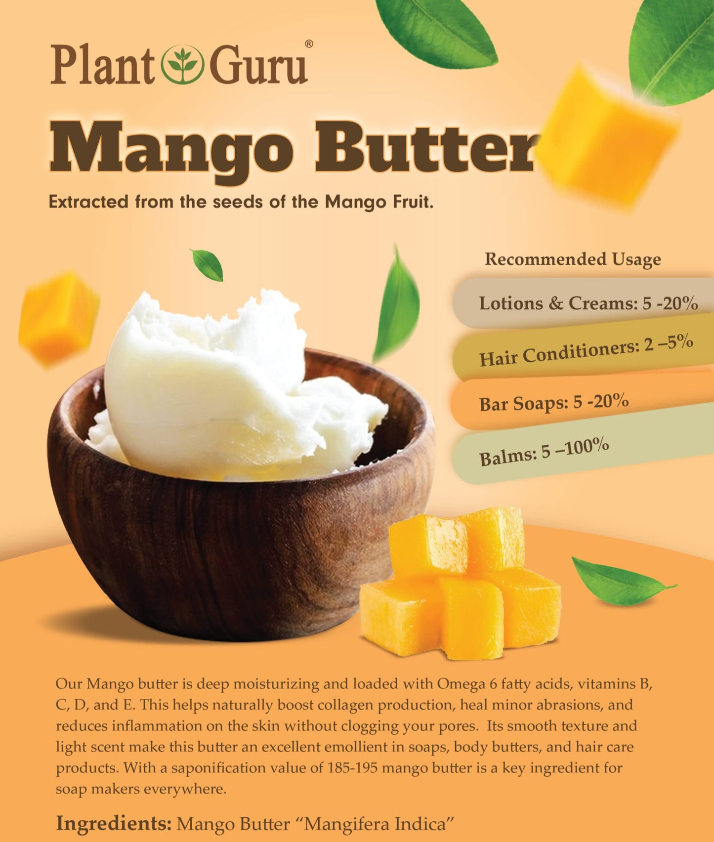 Raw Mango Butter 16 oz. / 1 lb. Jar CHUNKS - 100% Pure Natural Unrefined - Great for Skin and Hair Growth. DIY Soap Making, Body Butter, Lotions Beauty & Personal Care Plant Guru