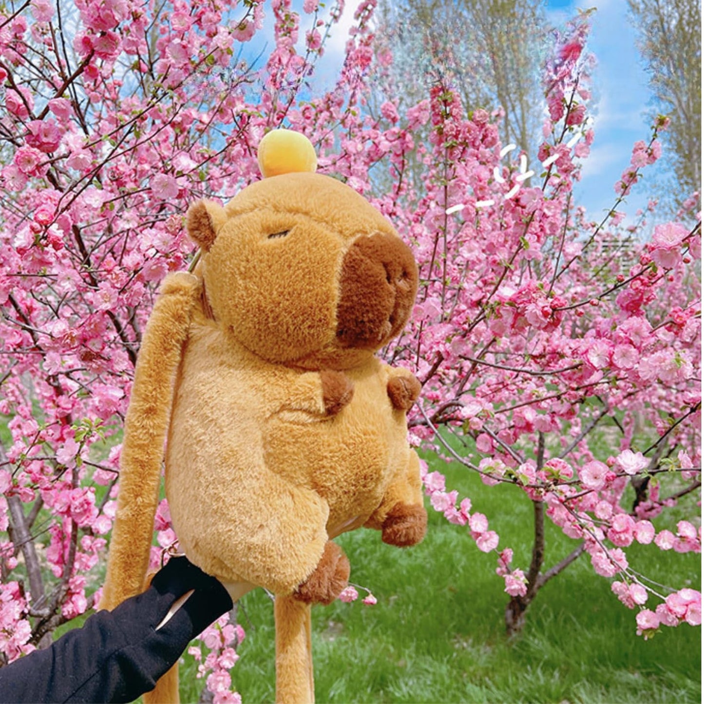 semmoi Capybara Plush Daypack - Kawaii Backpack, Y2K Aesthetic, Cute Daypack, Lightweight (Brown)