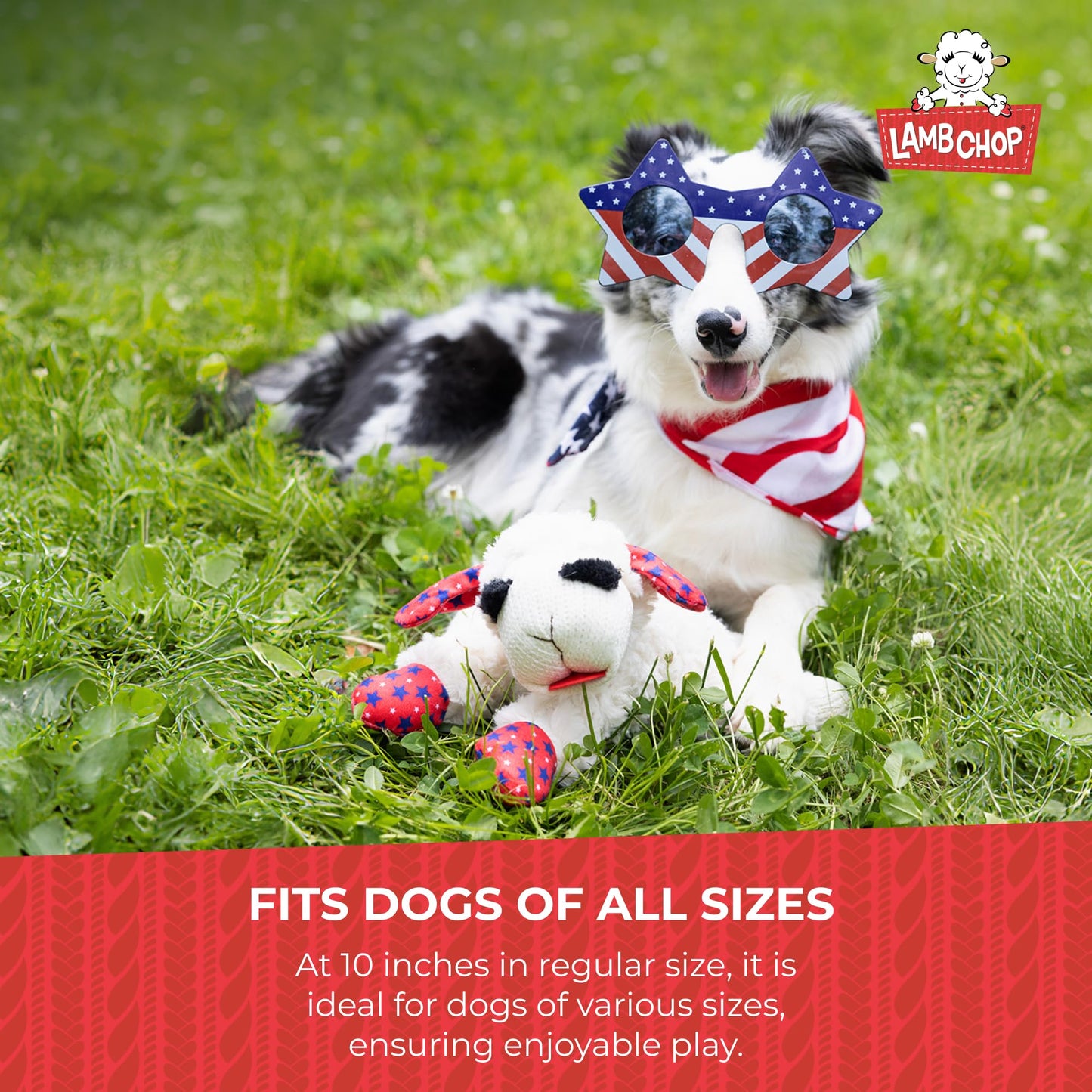 Multipet Lamb Chop Plush Dog Toy – 10" Soft Squeaky Stuffed Animal for Small & Medium Dogs – 5 Squeakers, Cream, Cuddly & Fun