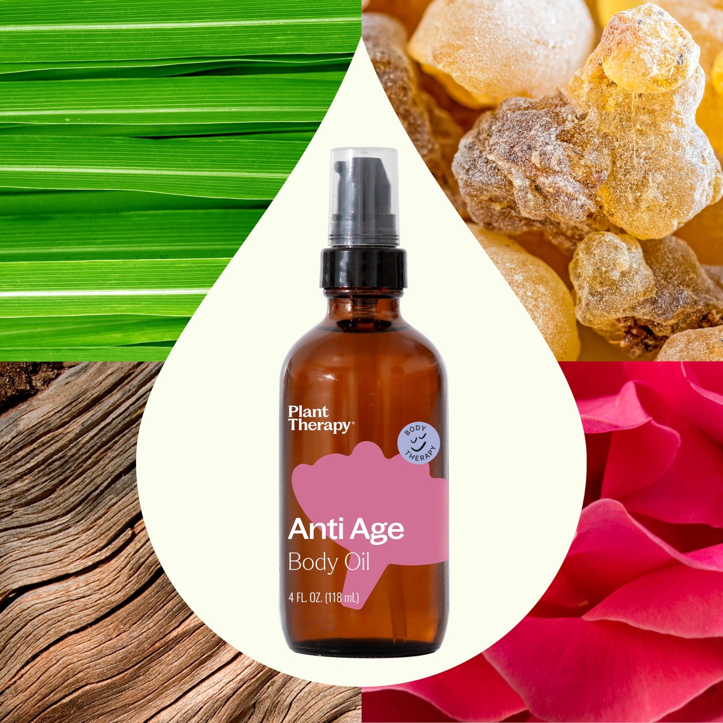 Plant Therapy Anti Age Body Oil 4 oz Locks in Moisture for Supple, Radiant Looking Skin, Helps Reduce the Appearance of Fine Lines, Made