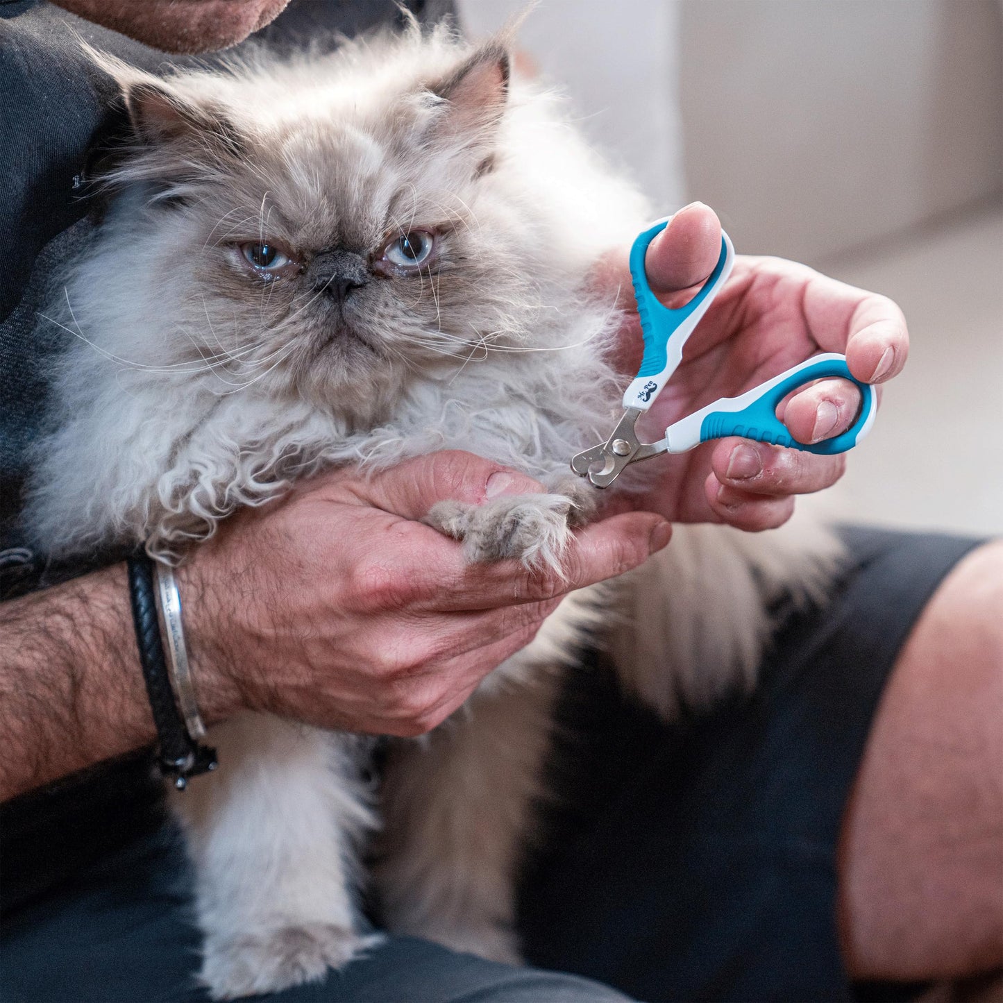 Mr. Pen Cat Nail Clipper – Precision, Sharp, Easy-to-Use Pet Nail Trimmers for Cats and Kittens, Safe and Comfortable Grooming Kit