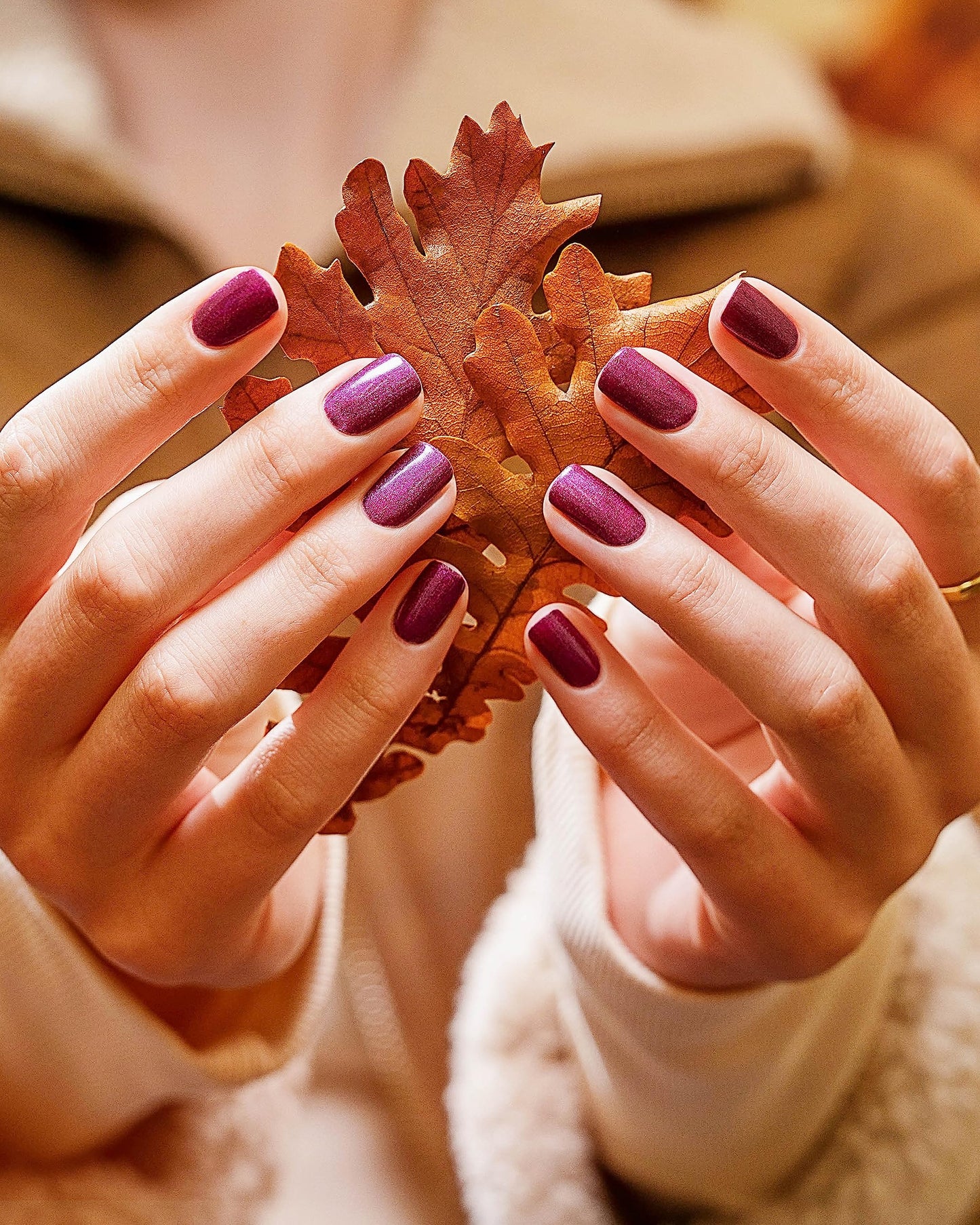 Morgan Taylor Fall Change Of Pace Collection - Professional Lacquer, Vibrant, Chip-Resistant, Fast-Drying, Long-Lasting, High-Shine, Perfect Beauty & Personal Care Morgan Taylor