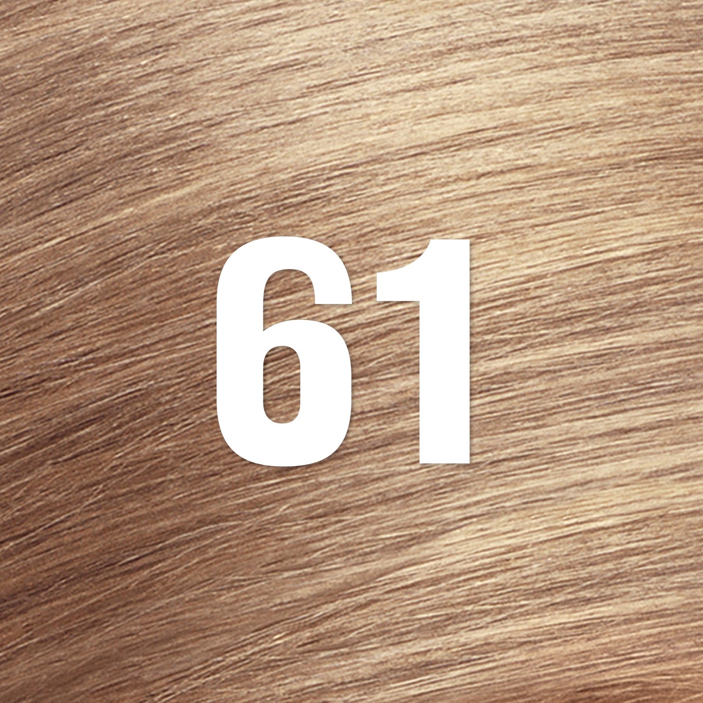Revlon ColorSilk with Bond Repair Complex, Blonde Permanent Hair Color, 100% Gray Coverage, Ammonia Free Hair Dye, Vegan Keratin, 61 Dark Blonde (Pack