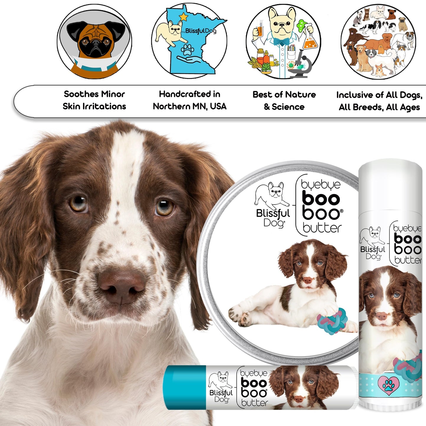 The Blissful Dog Springer Spaniel Boo Butter, 4 oz Beauty and Personal Care The Blissful Dog