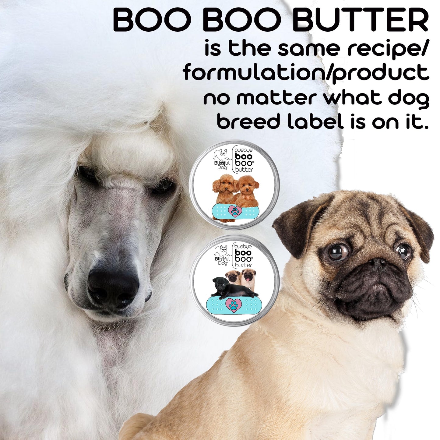 The Blissful Dog Flat-Coat Retriever Boo Boo Butter, 1-Ounce Beauty and Personal Care The Blissful Dog