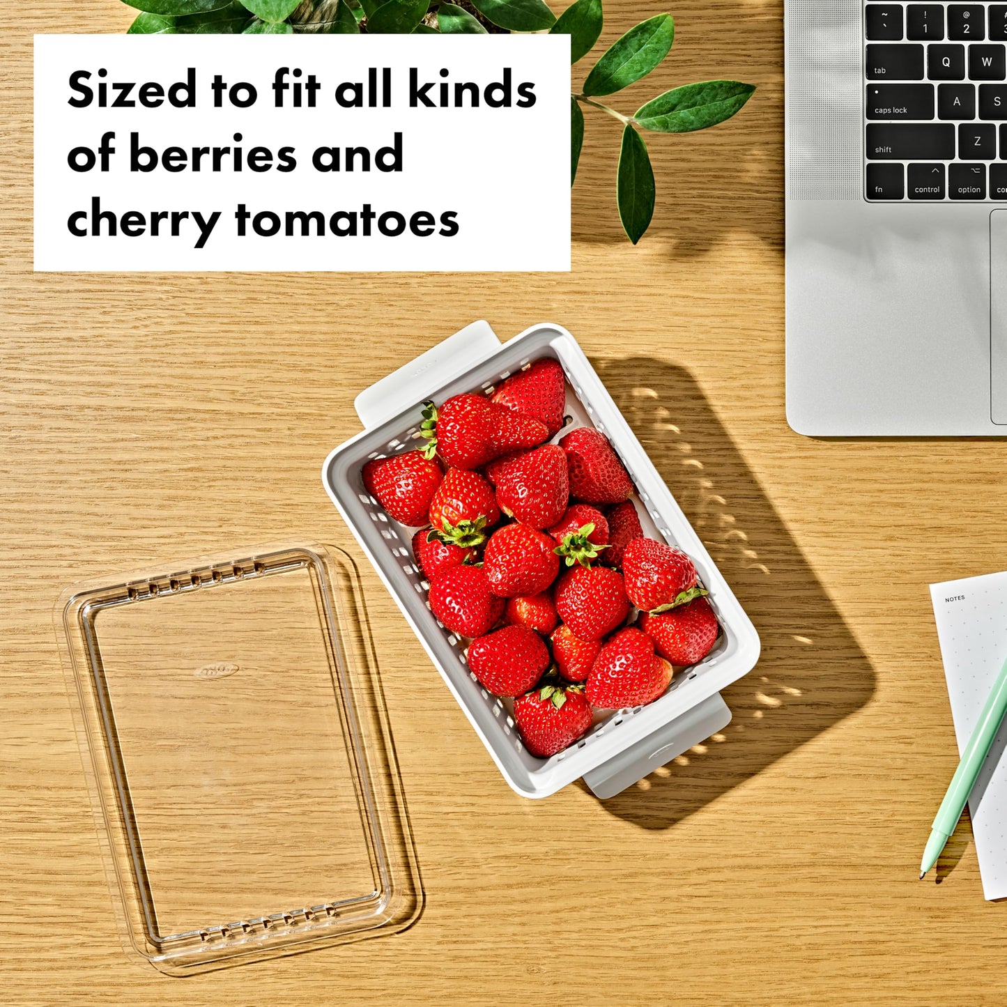 OXO Good Grips Produce Saver - Berry Keeper 2-Piece Set