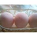 Spa Pure Cotton Candy Bath Bombs: Made in USA with Shea Butter, 3 XL Bath Bombs, Ultra-Moisturizing, Great for Dry Skin, All Skin Types, Individually…