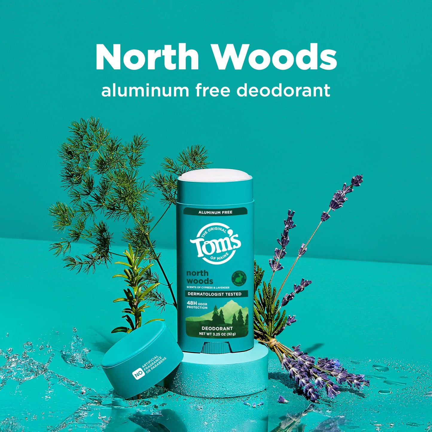 Tom’s of Maine North Woods Natural Deodorant for Men and Women, Aluminum Free, No Artificial Fragrances, Dyes, or Preservatives, Baking Soda Free Beauty and Personal Care Tom's of Maine