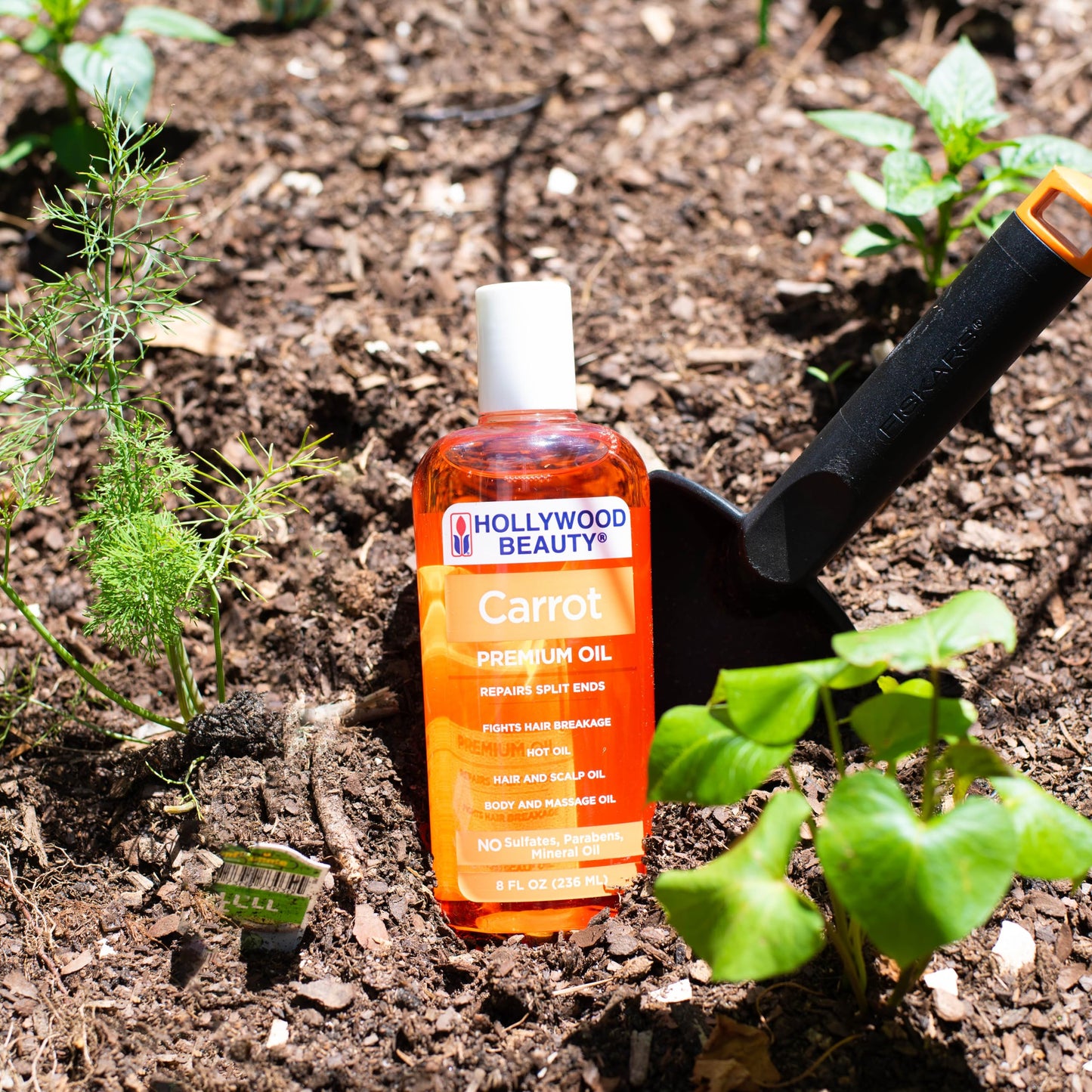 Hollywood Beauty Carrot Hair Oil, 8oz Bottle, Hair, Scalp, Skin, Nail, & Massage Oil, Helps Repair Damaged Hair & Skin, Can be Used as a Hot Oil