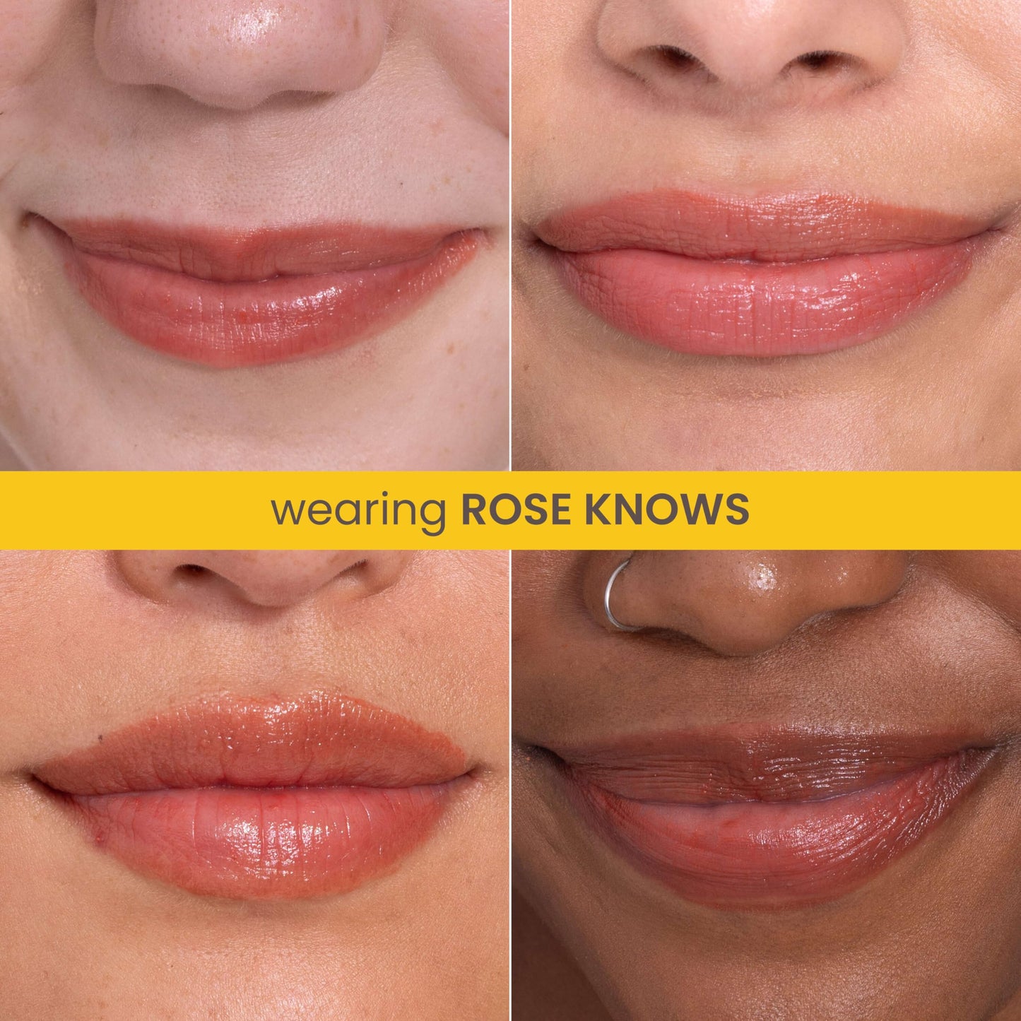Burt’s Bees Tinted Boosted Balm, Rose Knows, Hydrating Tinted Lip Balm with Vitamin C, E, and F Core, 24 Hour Lip Moisturizer with Responsibly Sourced