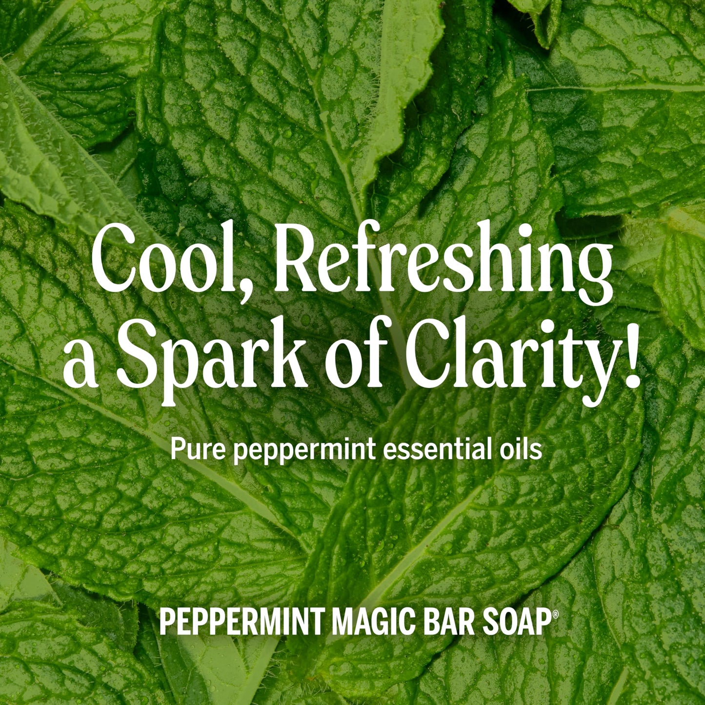 Dr. Bronner's Pure-Castile Magic Bar Soaps (Peppermint, 5oz, 2-Pack) - Made with Regenerative Organic Certified Oils, Soap Bars for Men & Women Beauty & Personal Care Dr. Bronner's