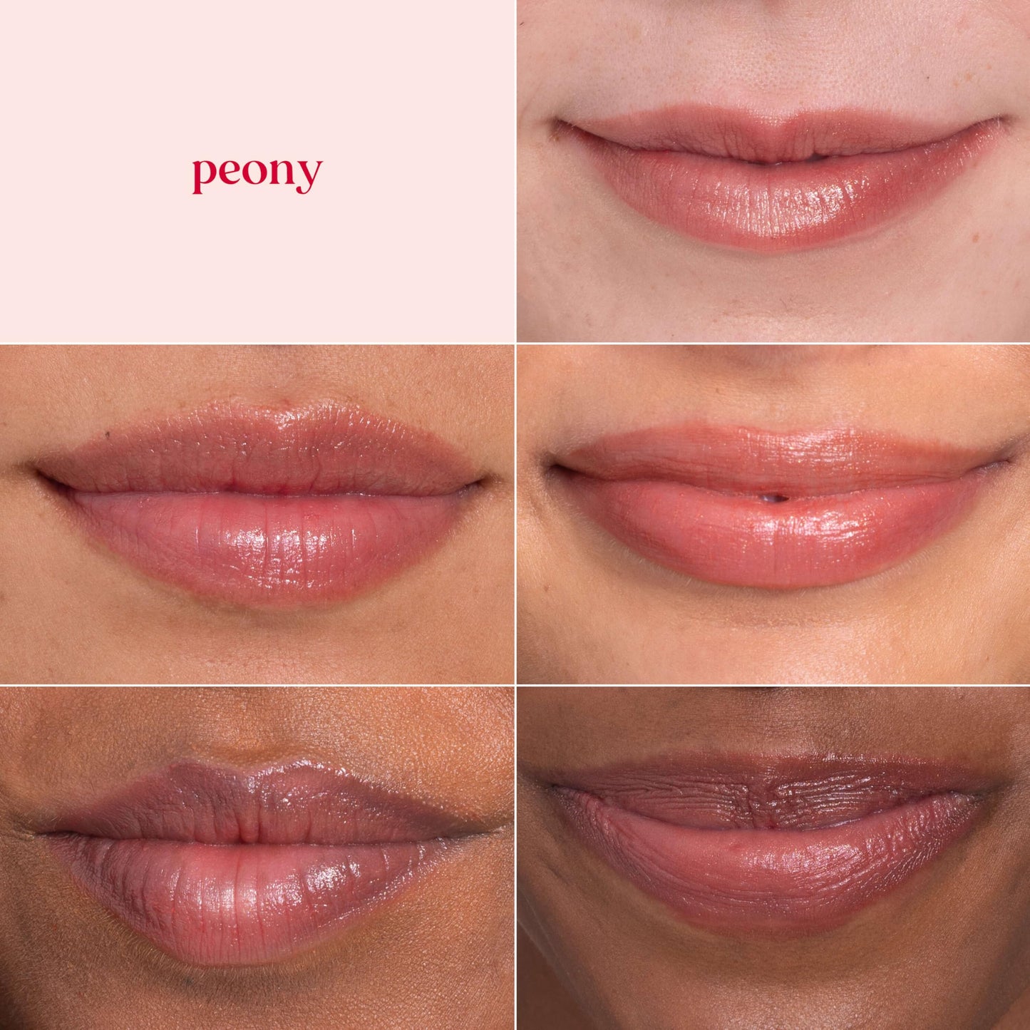 Burt's Bees Shimmer Lip Tint, Tinted Lip Balm Stick, Moisturizing for All Day Hydration with Natural Glowy Pigmented Finish & Buildable Color, Peony