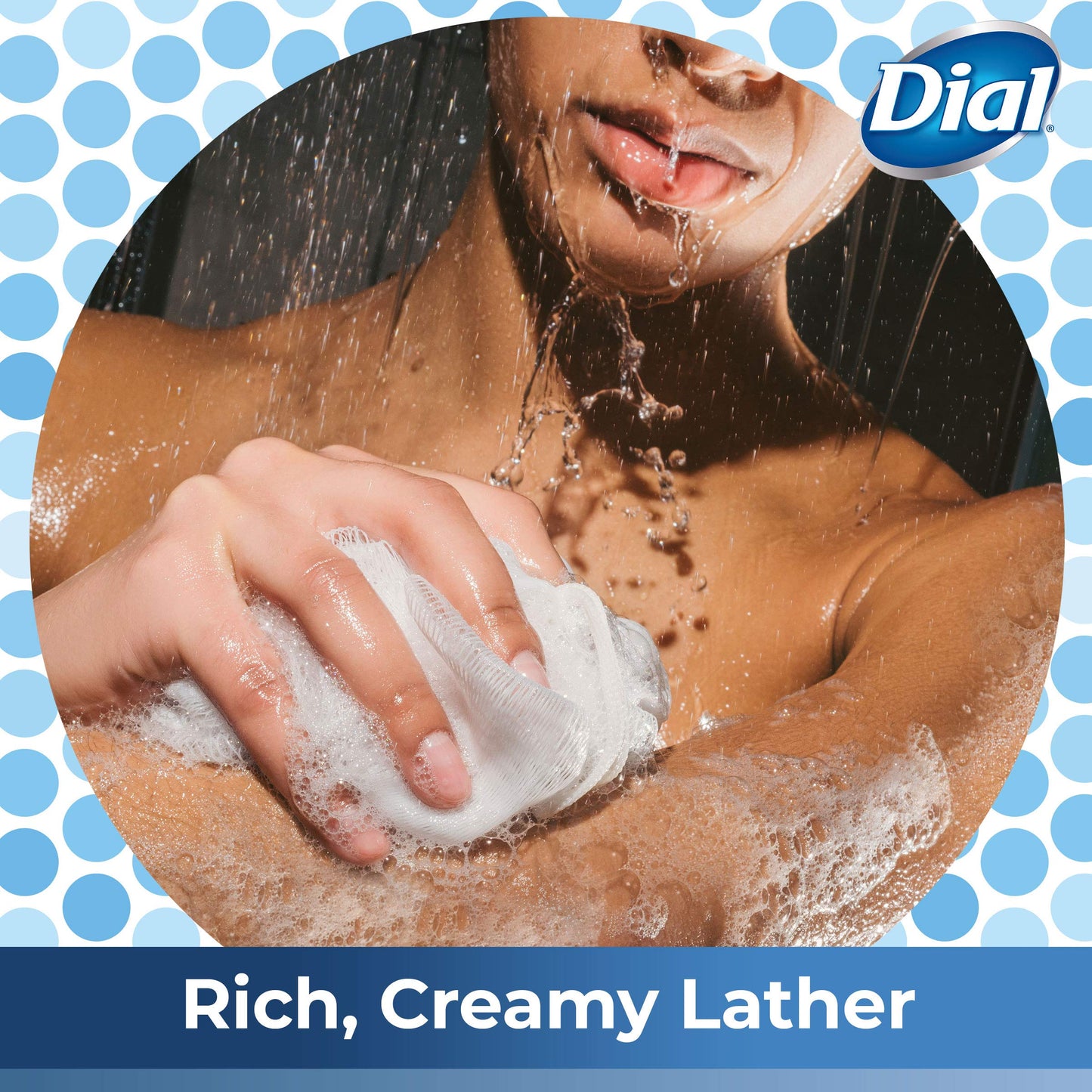 Dial Body Wash Himalayan Salt Enriching, 16 Fl Oz (Pack of 3)