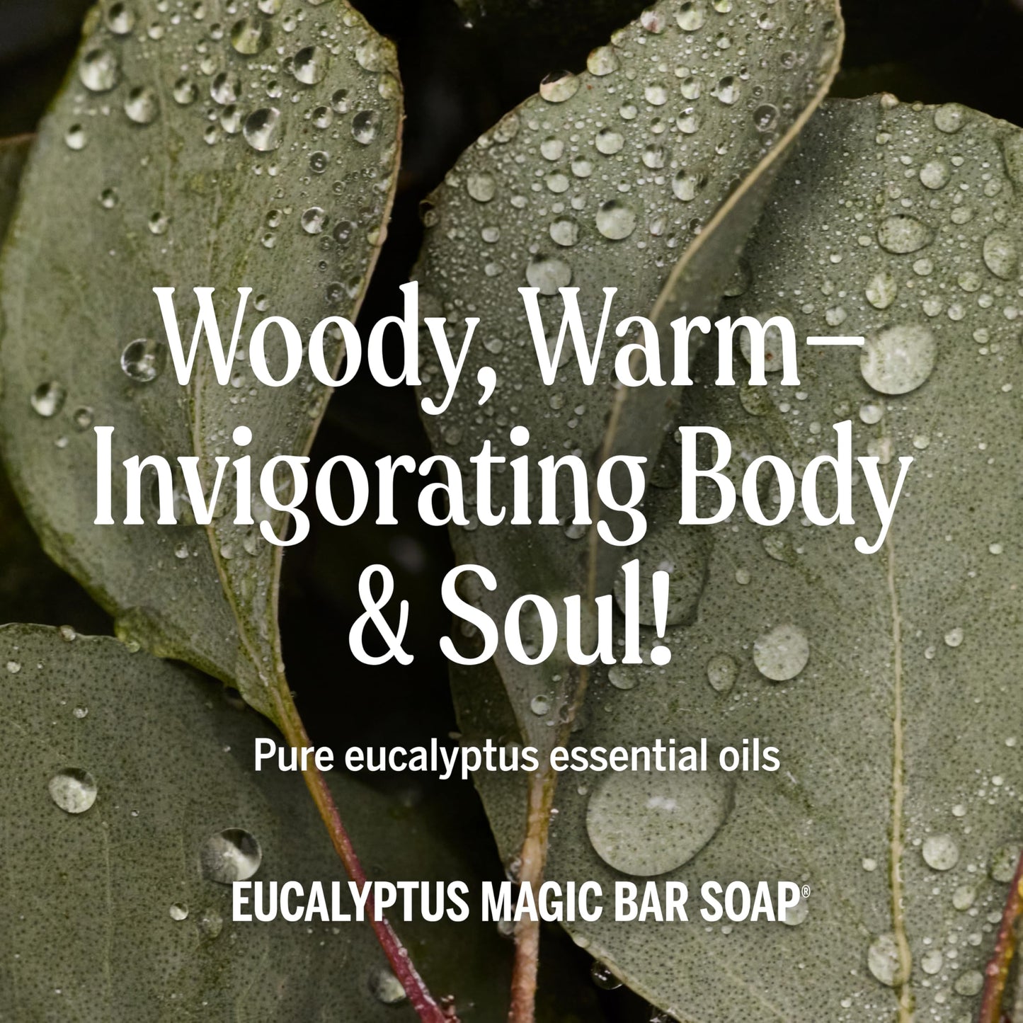 Dr. Bronner's Pure-Castile Magic Soap Bars (Eucalyptus, 5 oz, 6-Pack)- Made with Regenerative Organic Certified Oils for Face, Body & Hair - Gentle