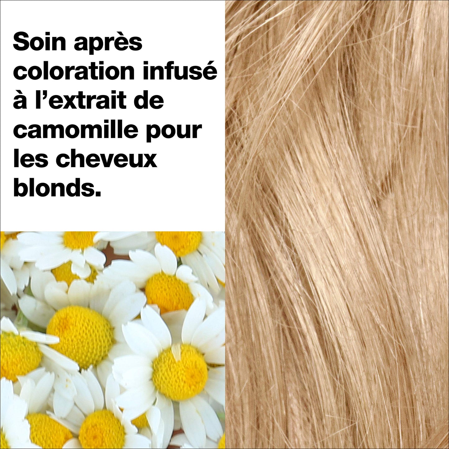 Revlon Total Color Permanent Hair Color, Clean and Vegan, 100% Gray Coverage Hair Dye, 70 Dark Natural Blonde, 3.5 oz