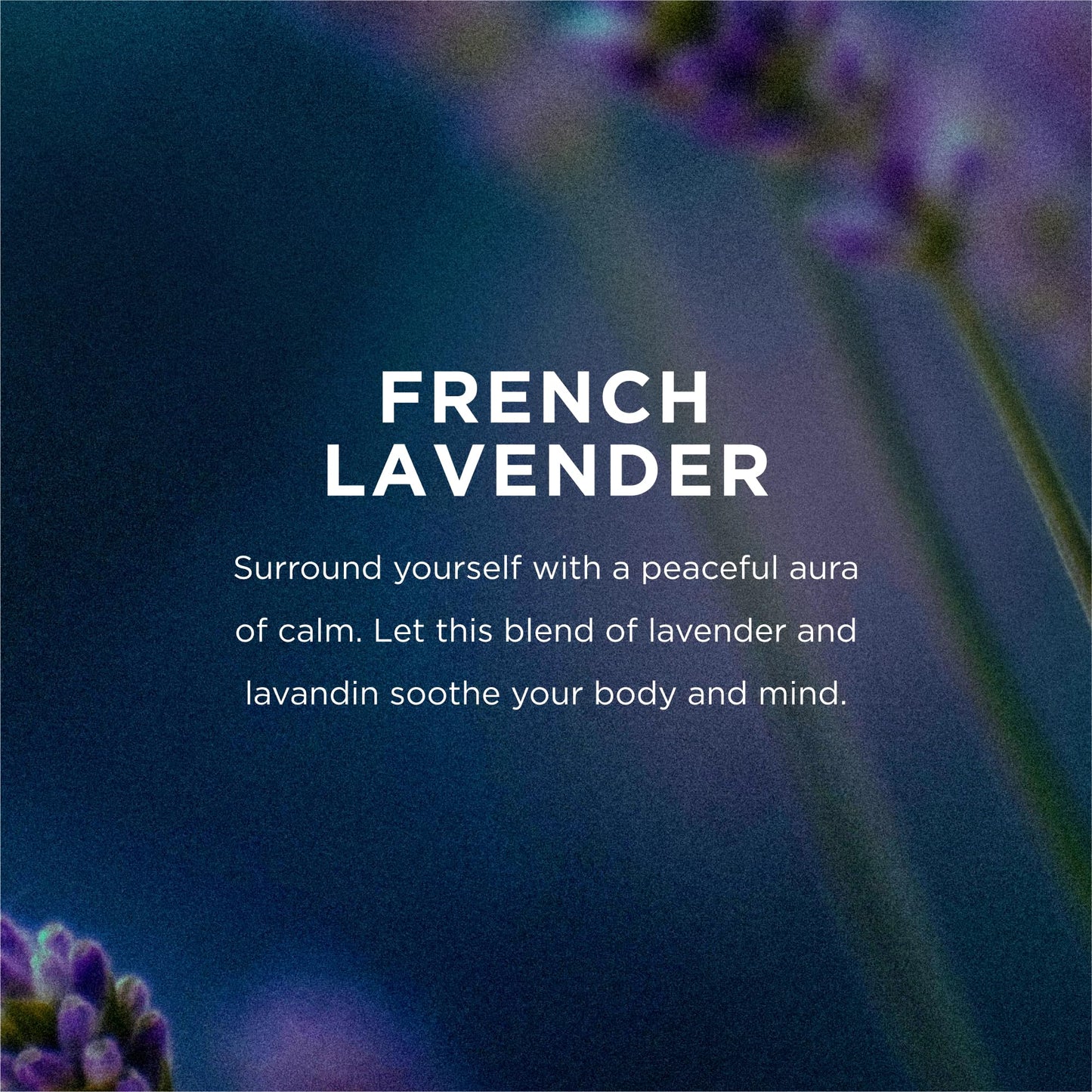 EO Liquid Hand Soap Refill, 1 Gallon, French Lavender, Organic Plant-Based Gentle Cleanser with Pure Essential Oils