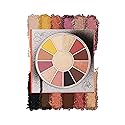 Salt-N-Pepa Hot, Kool And Vicious Eyeshadow and Highlighter Palette - Eyeshadow Palette and Highlighter Makeup - 12 Colors Highly Pigmented Matte
