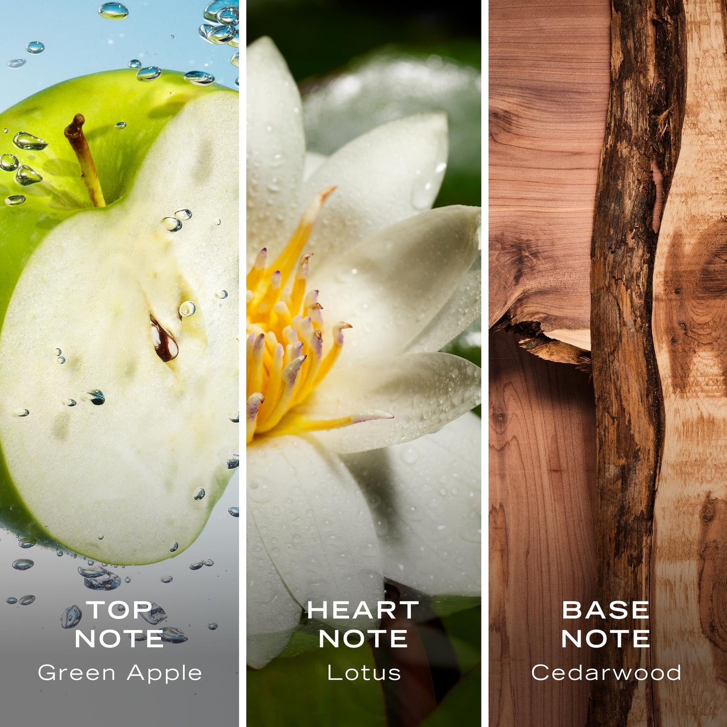 Nautica Voyage Eau De Toilette, Cologne and Fragrance For Men, Fresh, Romantic, Fruity Scent Woody, Aquatic Notes of Apple, Water Lotus, Cedarwood