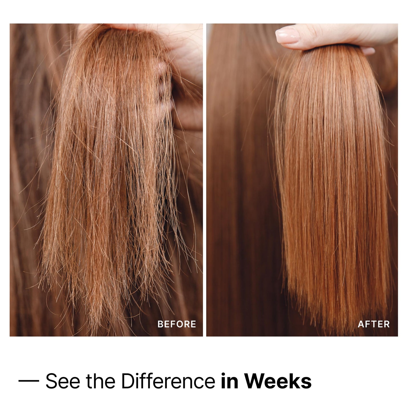 My Way Hair DNA Repair Oil - Restorative and Heat Protectant Oil for Frizz Control - Adds Shine and Seals Split Ends - Paraben, Phthalate, Sulfate