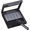 Revlon Luxurious Color Satin Eye Shadow, Platinum Glimmer, 0.08 Ounce
