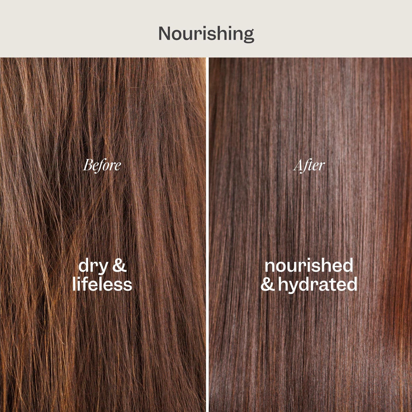 Renpure Coconut & Vitamin E Shampoo & Conditioner Set, Plant-Based - Nourishes & Seals In Moisture For Soft, Healthy Hair - For Dry, Lifeless Hair