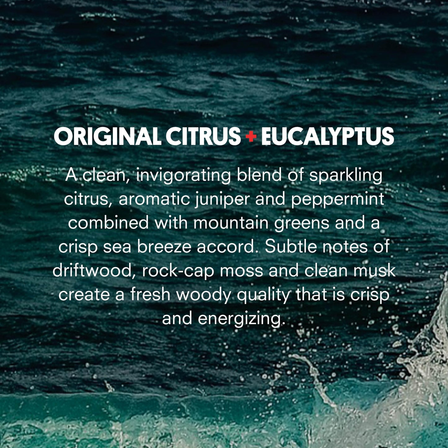 Huron Men’s Cologne - Eau de Parfum for Everyday Wear - Crisp & Invigorating Scent of Citrus, Eucalyptus, Mint & Aromatic Greens - Long Lasting