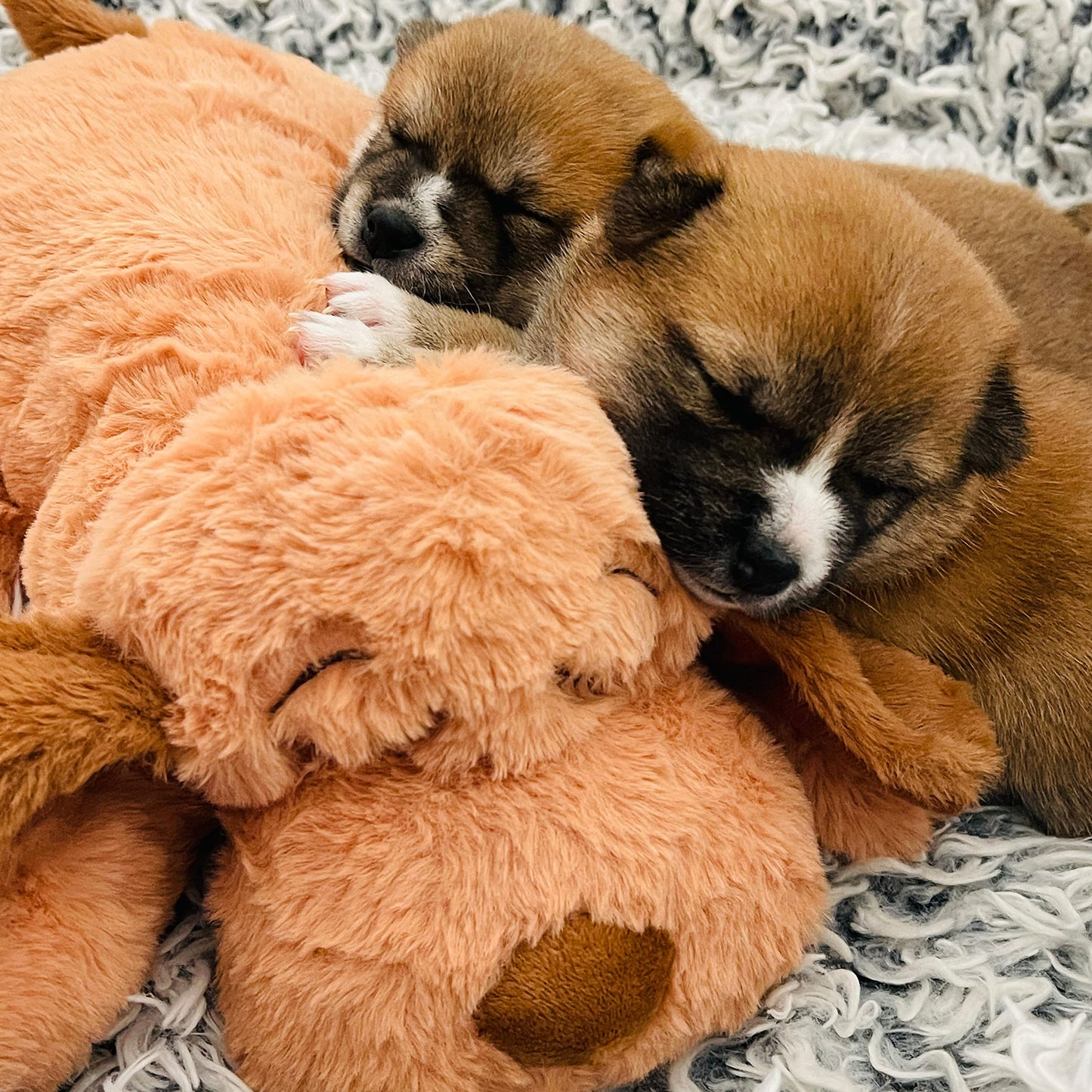 Original Snuggle Puppy Toys - Heartbeat Puppy for Dogs - Pet Anxiety Relief and Calming Aid - Comfort Dog Toys for Behavioral Training