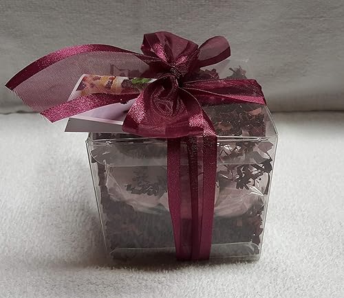 Spa Pure BLACKRASPBERRYVANILLA Bath Bombs: Gift Set with 14 1 oz, ultra-moisturizing bath bombs, great for dry skin, makes a great gift
