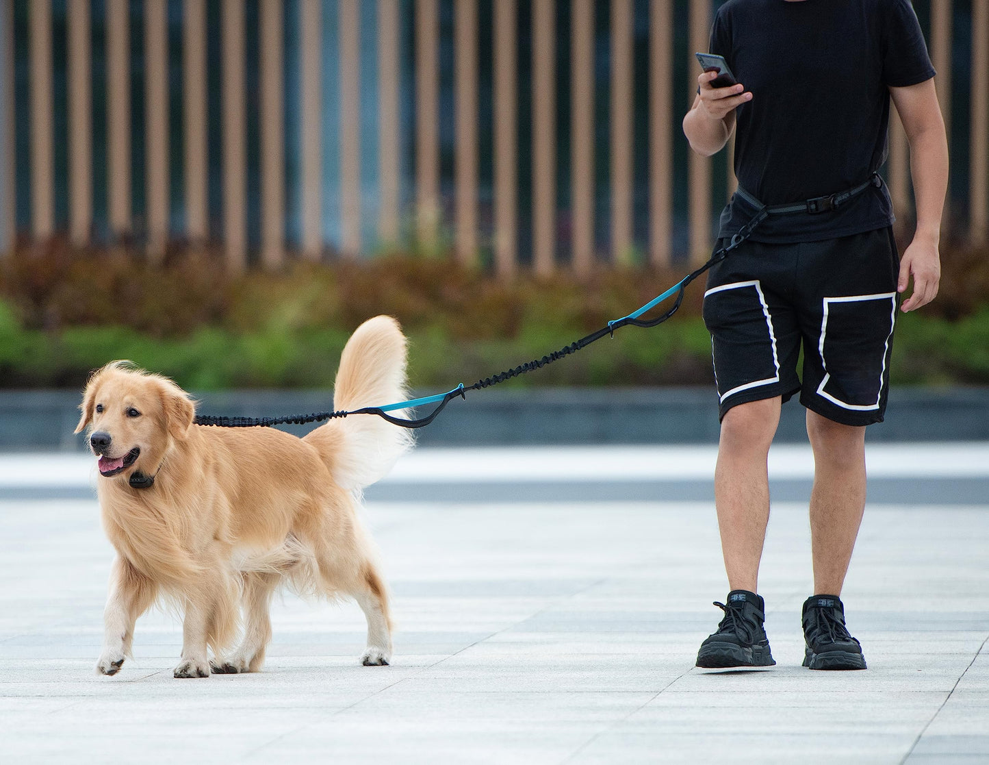 iYoShop Hands Free Dog Leash with Pouch, Dual Handles & Bungee for Walking, Jogging, Running Dogs 25-120 lbs (Black)