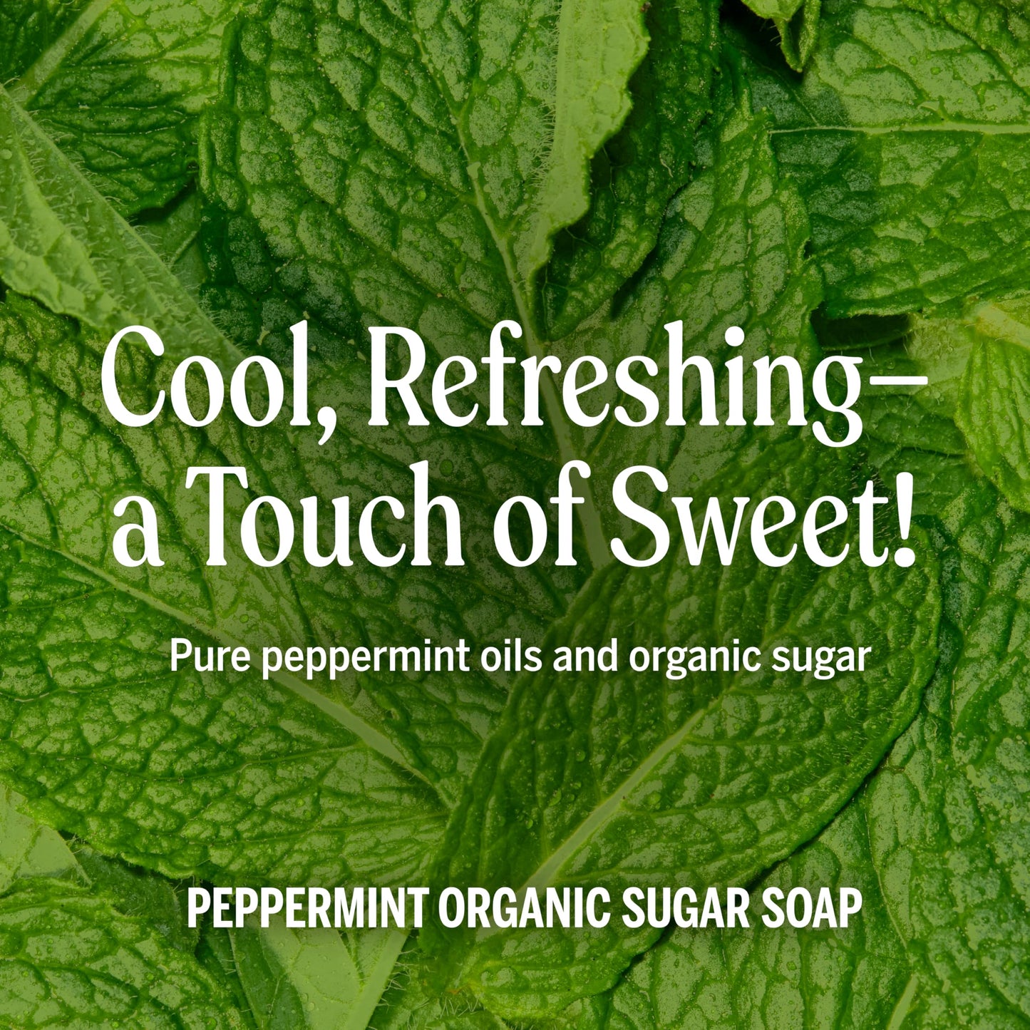 Dr. Bronner's - Organic Sugar Soap (Peppermint, 24 Ounce) - Made with Organic Oils, Sugar & Shikakai Powder, 4-in-1 Uses: Hands, Body, Face & Hair