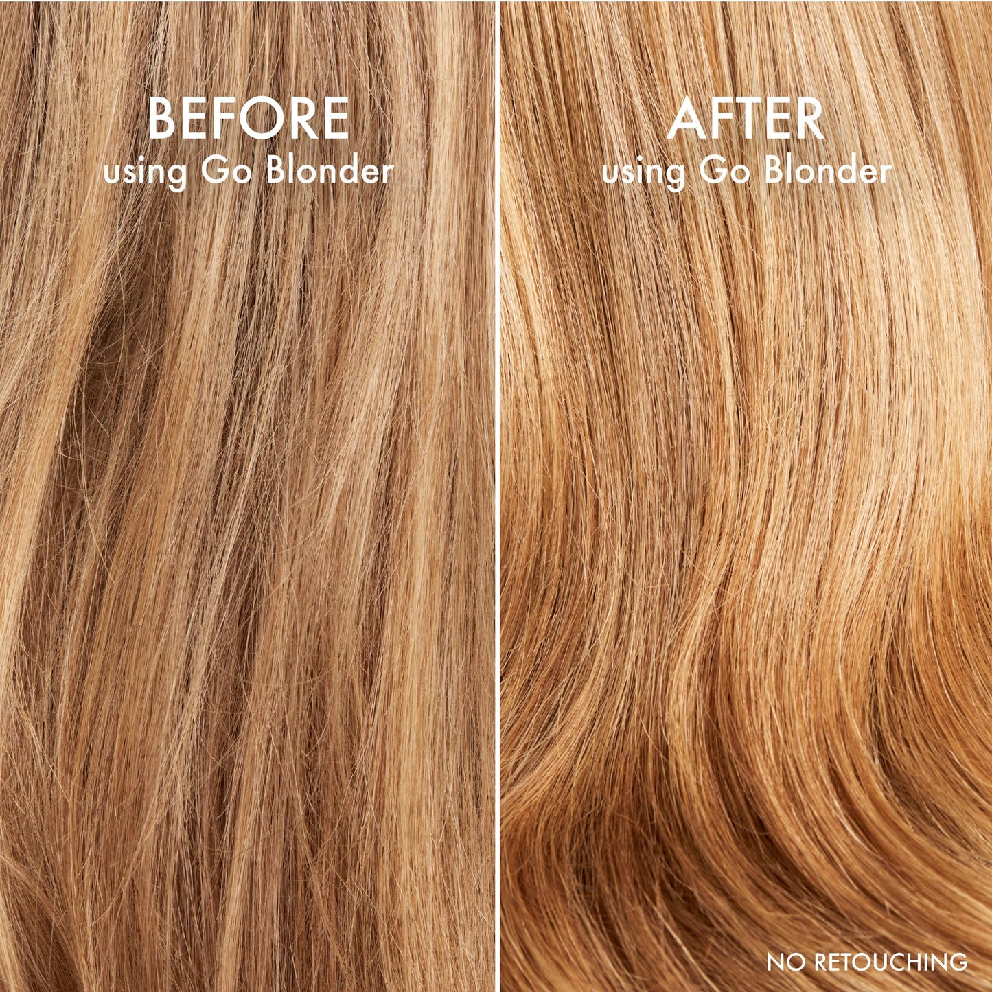 John Frieda Go Blonder Blonde Brightening Shampoo for Blonde Hair, Gradual Lightening & Shine, 8.3 fl oz Beauty and Personal Care John Frieda
