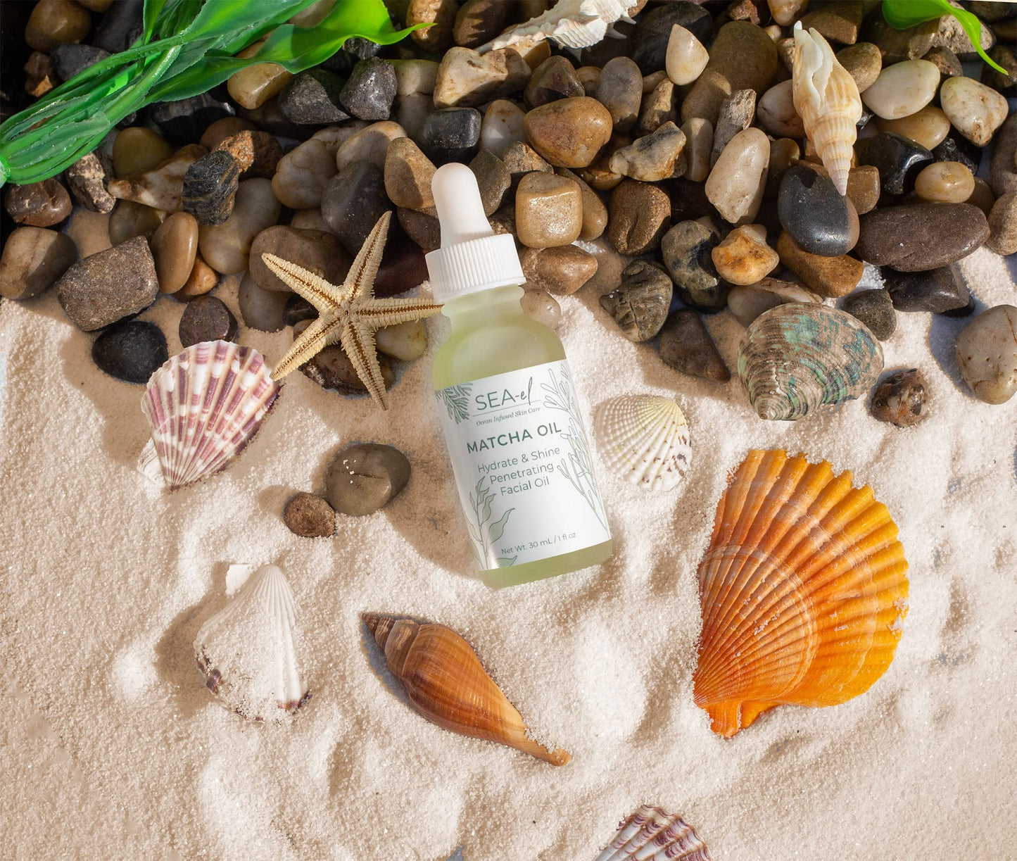 Sea-El Matcha Face Oil Skincare - Hydrating Glow Green Tea & Sea Kelp Facial Oil Blend - Calming & Deeply Penetrating Antioxidant-Rich Moisturizer