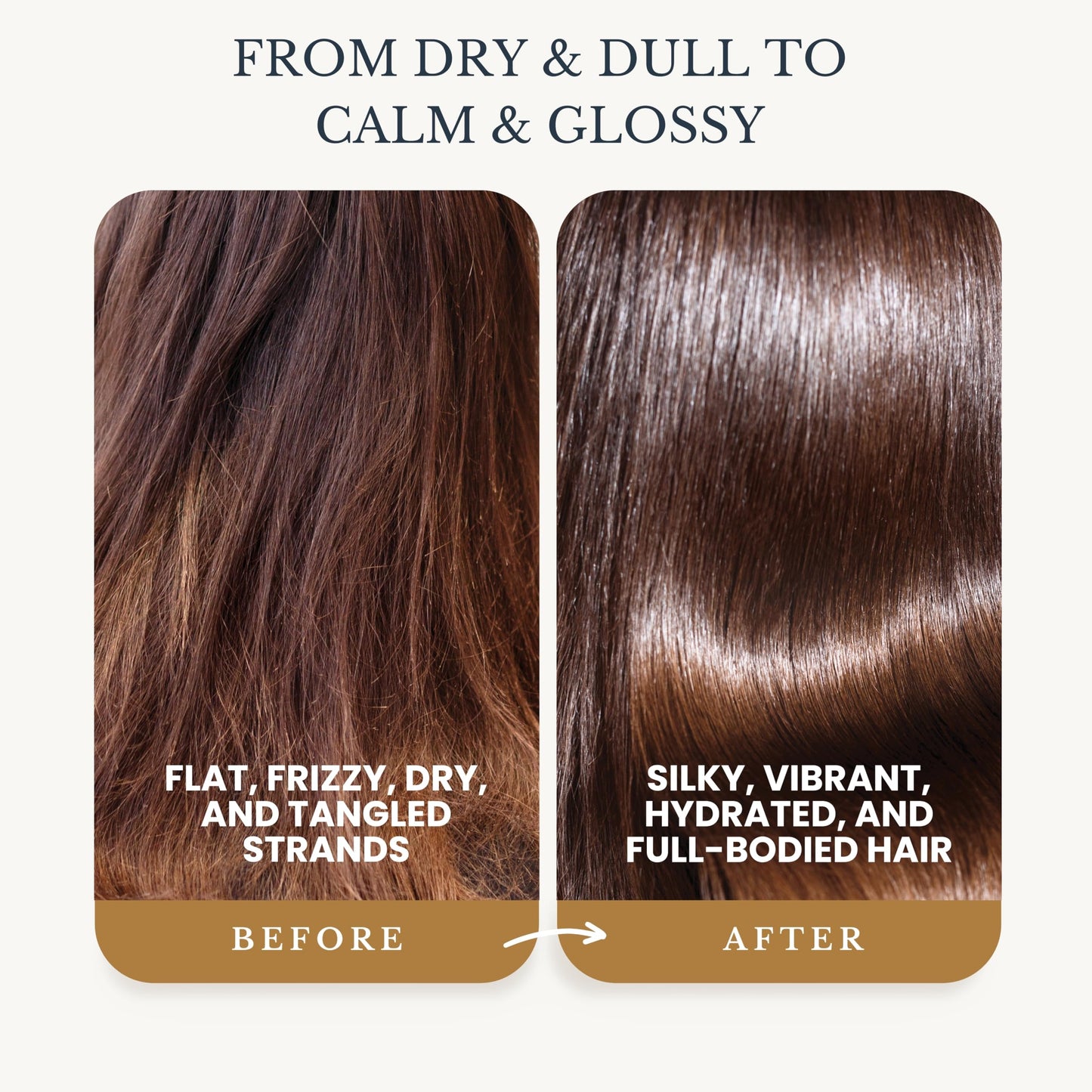 Edenika Botanicals Chamomile Shampoo and Conditioner Set, Calming Formula with Certified Organic and Natural Ingredients Intense Nourishment Makes