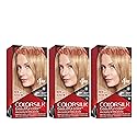 Revlon Permanent Hair Color, Permanent Hair Dye, Colorsilk with 100% Gray Coverage, Ammonia-Free, Keratin and Amino Acids, 73 Champange Blonde, 4.4 Oz
