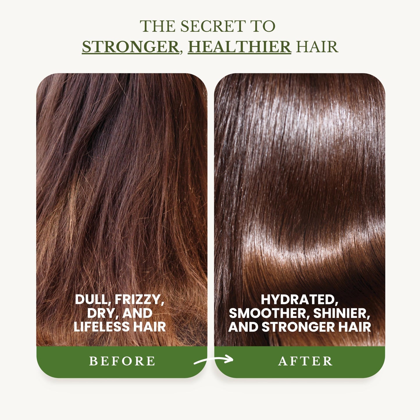 EDENIKA BOTANICALS Tea Tree Oil Shampoo and Conditioner Set, Deep Cleansing for Buildup & Oily Scalp, Soothes Itchy Scalp & Refreshes Hair, Sulfate
