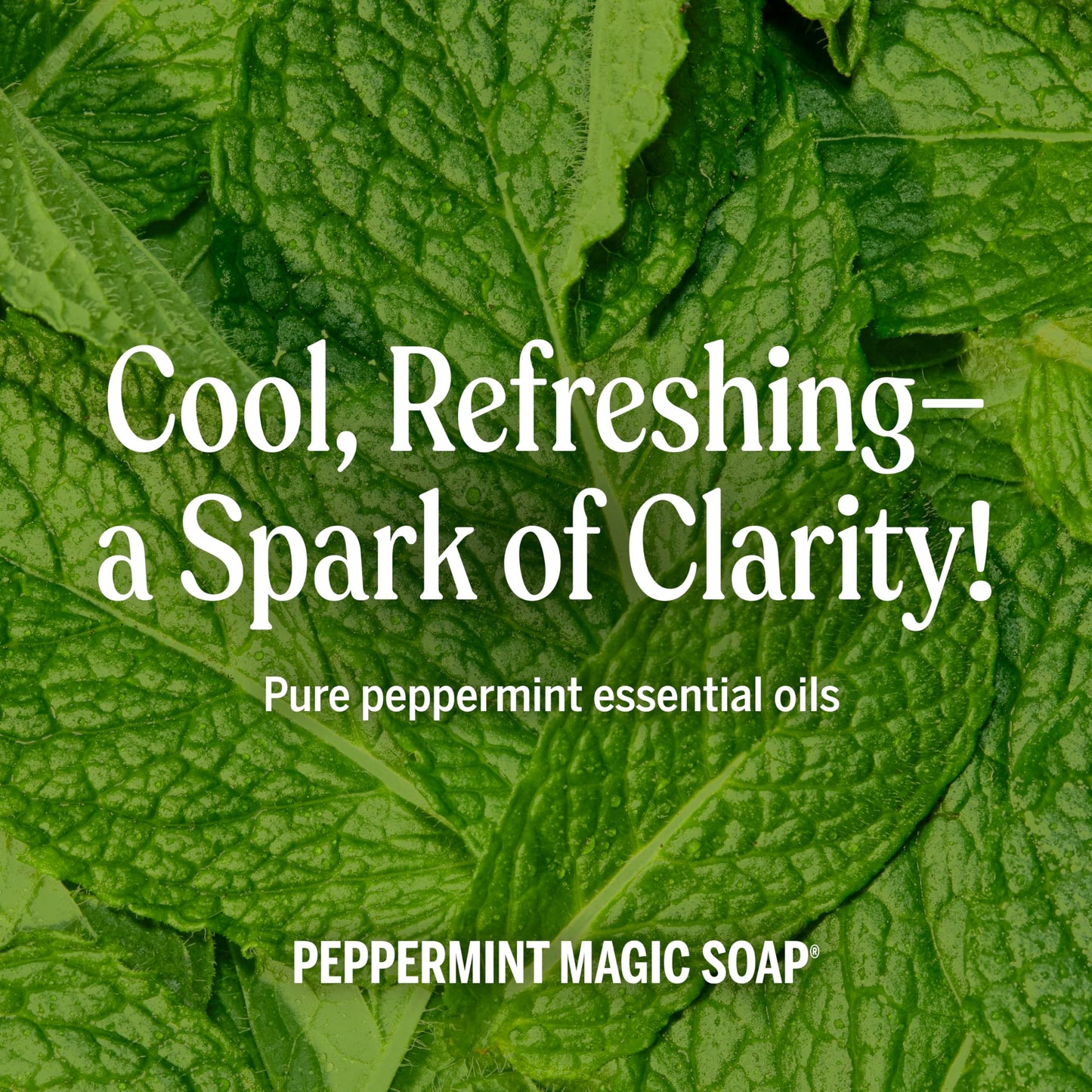 Dr. Bronner's Pure-Castile Magic Soap Liquid (Peppermint, 1 Gallon) - Made with Regenerative Organic Certified Oils - For Face, Hair, Laundry, Dishes